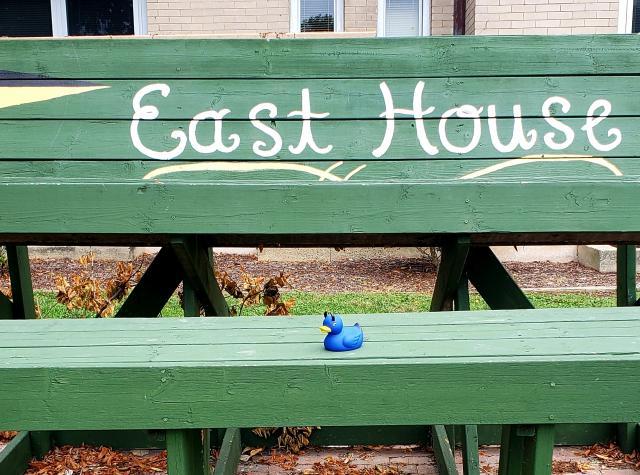 East House painted bench sign