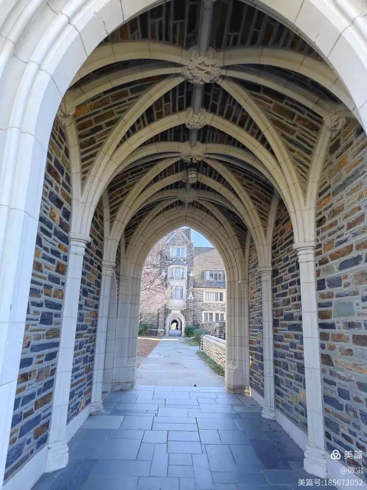 Few Quad Gothic stone arcade